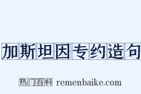 加斯坦因专约造句是什么意思的图片